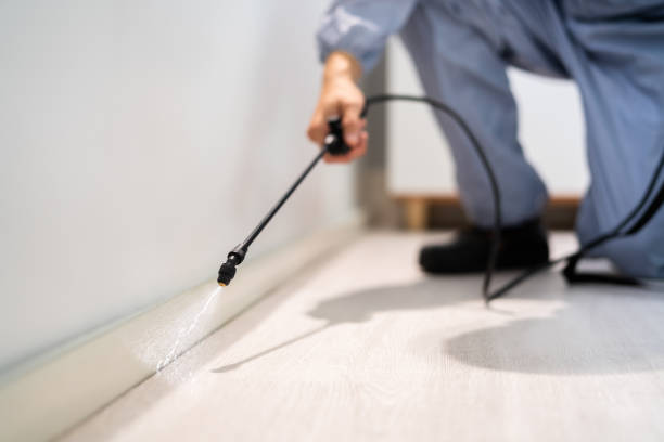 Licensed Pest Control service in Everett, MA - Show Me Pest Control