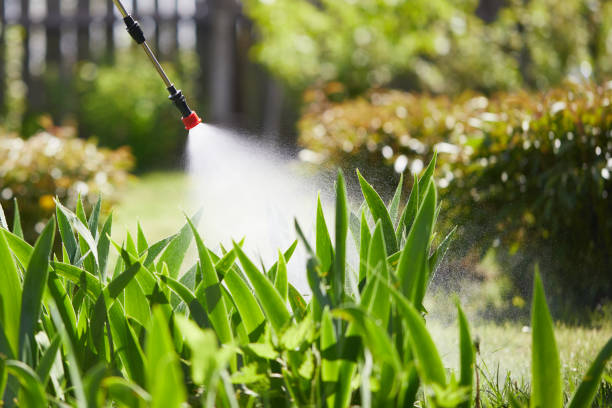 Tamper-Resistant Bait Stations for Rodents in Everett